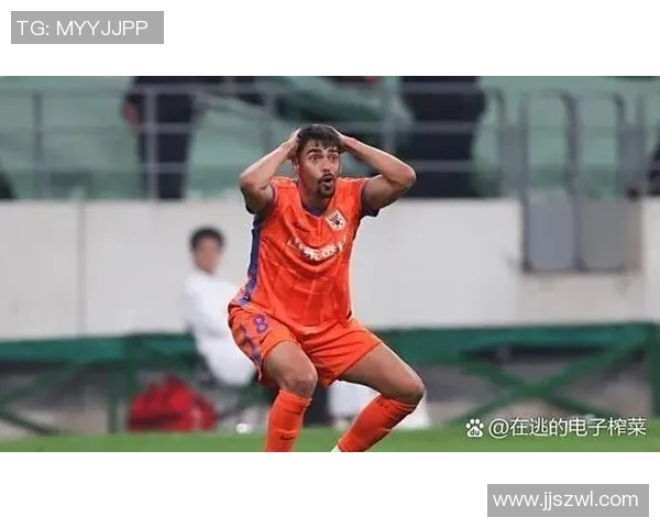 足球世界杯比赛中裁判误判对比赛影响